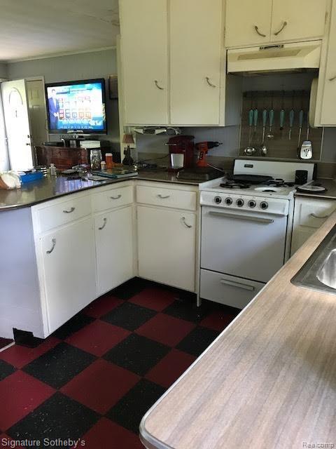 4512 Birch Drive Silverwood, MI 48760 - Photo 14 of 20 unnamed (4).jpg