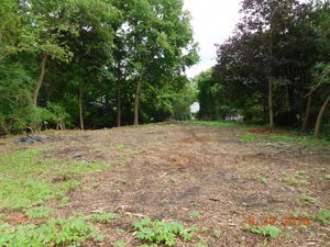 Lt 25-26 Cermak Road Algonquin, IL 60102 - Photo 2 of 36 a view of outdoor space with trees all around