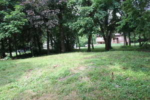 Lt 25-26 Cermak Road Algonquin, IL 60102 - Photo 12 of 36 a view of a tree in a yard