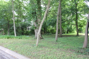 Lt 25-26 Cermak Road Algonquin, IL 60102 - Photo 14 of 36 a view of outdoor space and green space