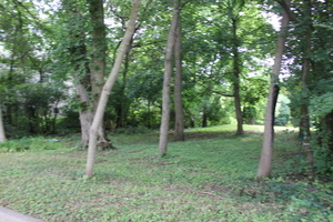 Lt 25-26 Cermak Road Algonquin, IL 60102 - Photo 15 of 36 a view of a forest that has large trees