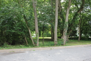 Lt 25-26 Cermak Road Algonquin, IL 60102 - Photo 16 of 36 a view of backyard with green space
