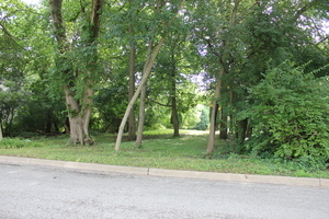 Lt 25-26 Cermak Road Algonquin, IL 60102 - Photo 17 of 36 a view of a park with a tree in the background