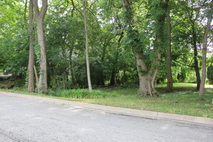 Lt 25-26 Cermak Road Algonquin, IL 60102 - Photo 18 of 36 a view of a yard with a trees