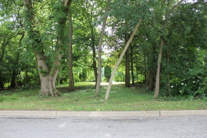 Lt 25-26 Cermak Road Algonquin, IL 60102 - Photo 4 of 36 a backyard of a house with lots of green space
