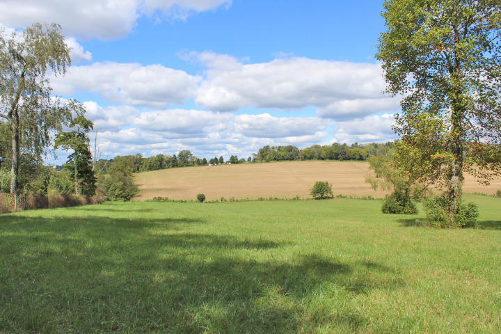 951 Thurman Road Somerset, KY 42503 - Photo 113 of 118 IMG_5057