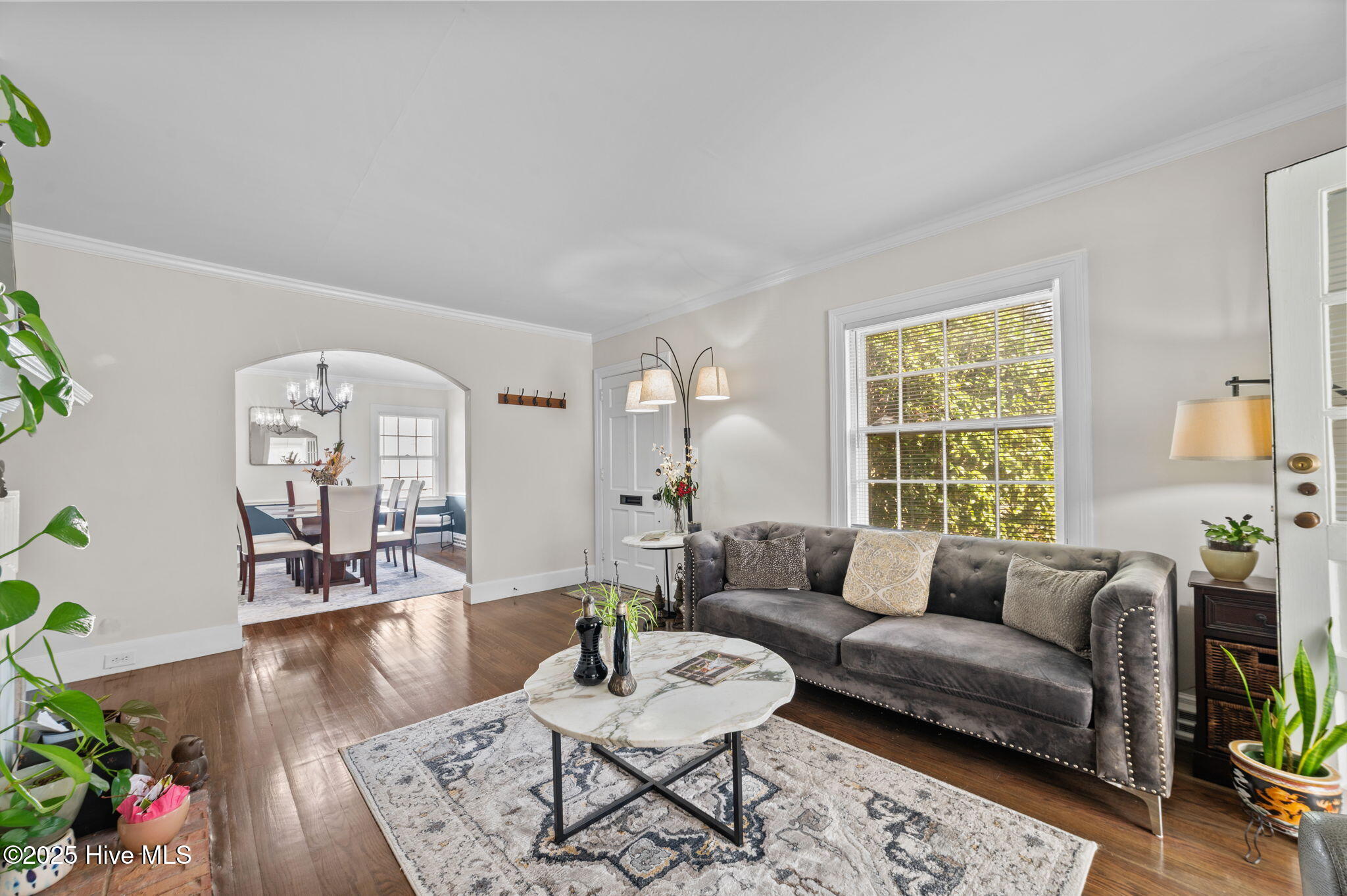 1500 Pollock Street Kinston, NC 28501 - Photo 7 of 51 Living Room w/ Natural Light