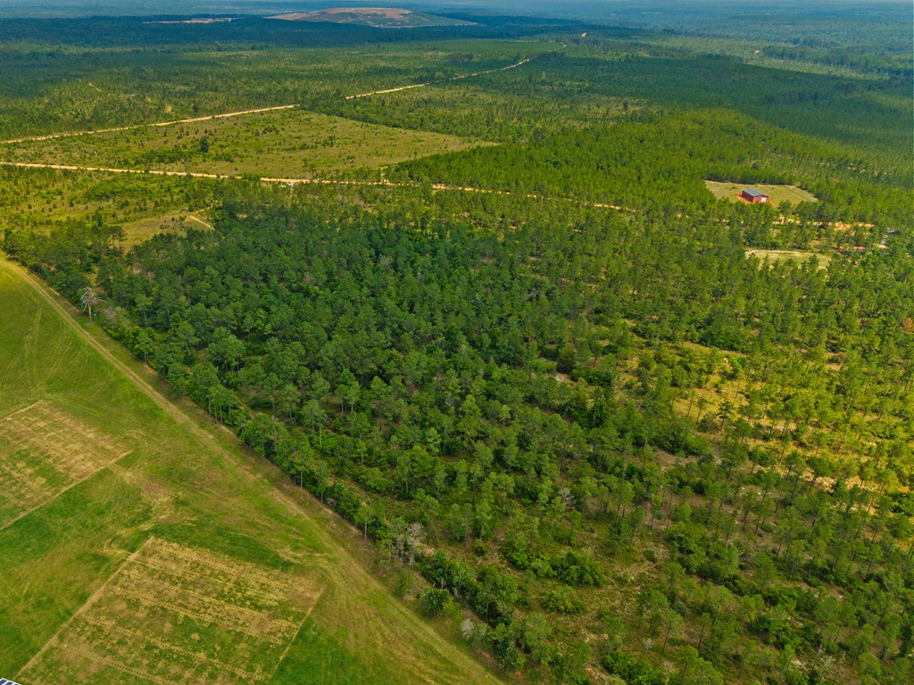 12-ac Liberty Road Mauk, GA 31058 - Photo 11 of 32 Looking SE across property