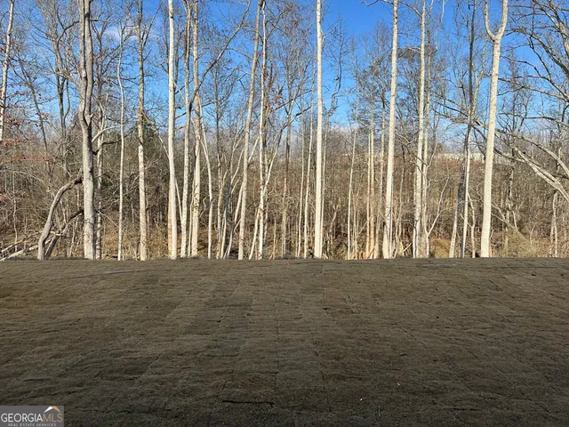 $356,015 | 4151 Millstone Park Lane, Unit 13A, Gainesville, GA 30504