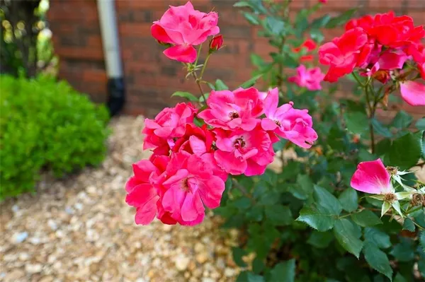 $849,000 | 1 Shamrock Drive, Lamar, MO 64759