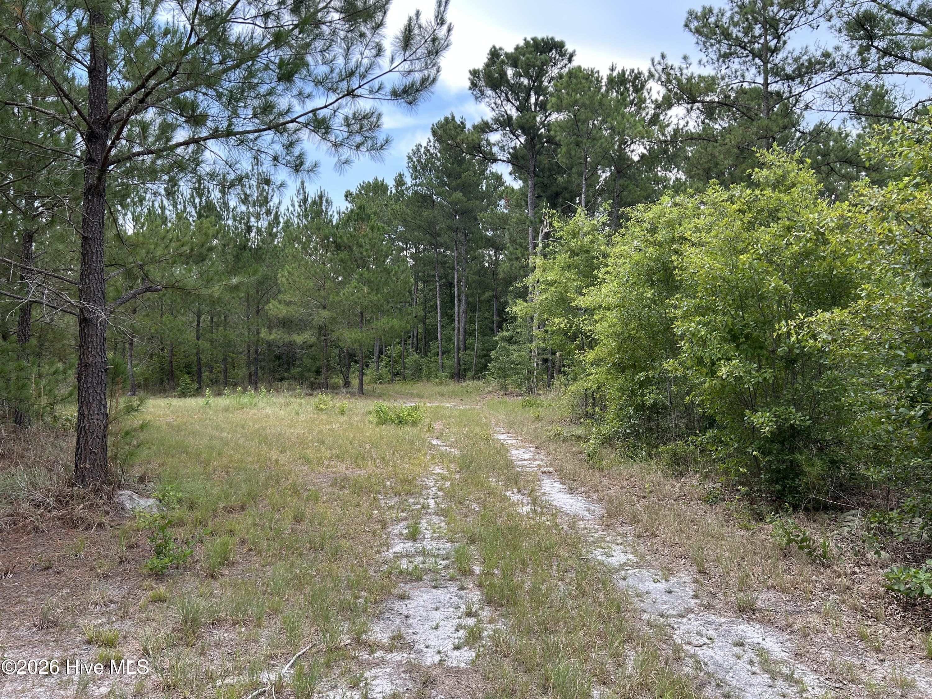 0 Autrytown Road Elizabethtown, NC 28337 - Photo 45 of 51 Gallery Image 45