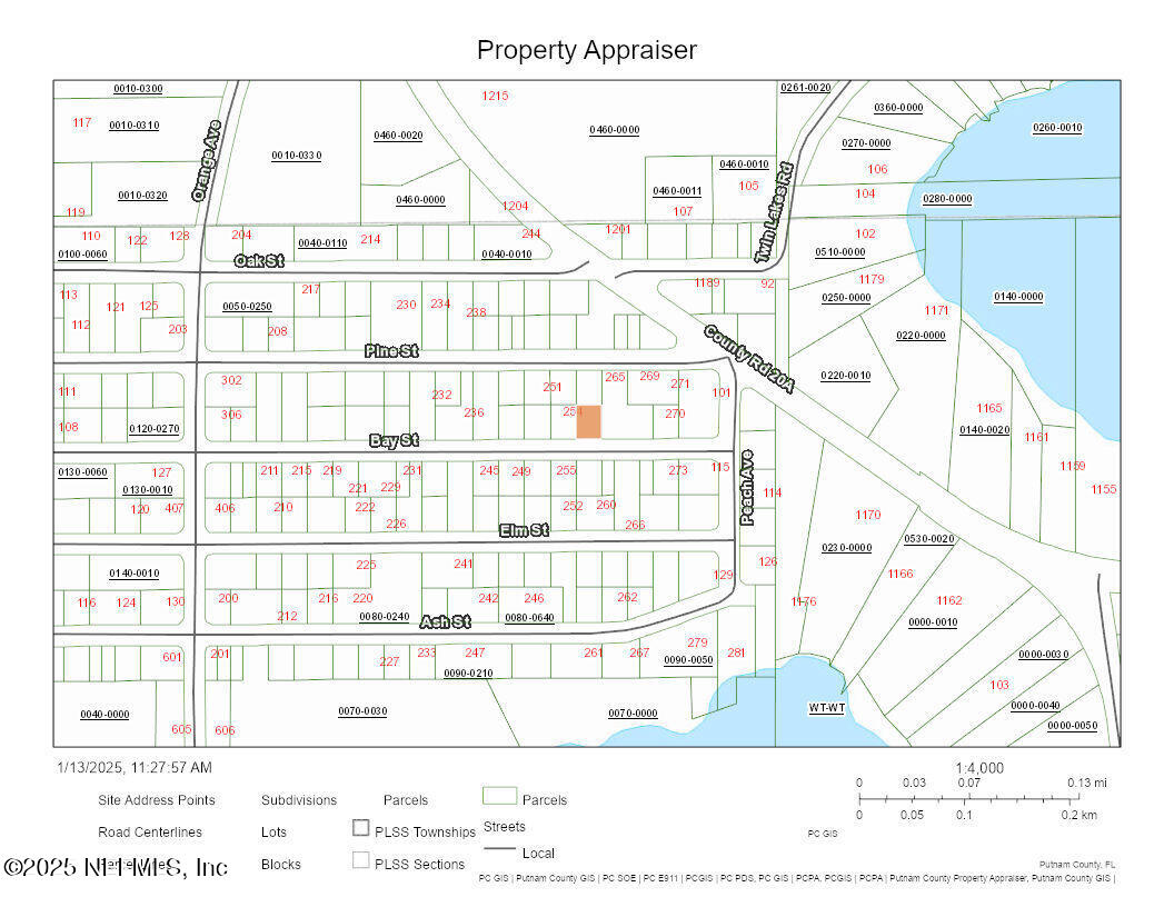 0 Bay Street Hawthorne, FL 32640 - Photo 3 of 3 a black and white photo of a painting