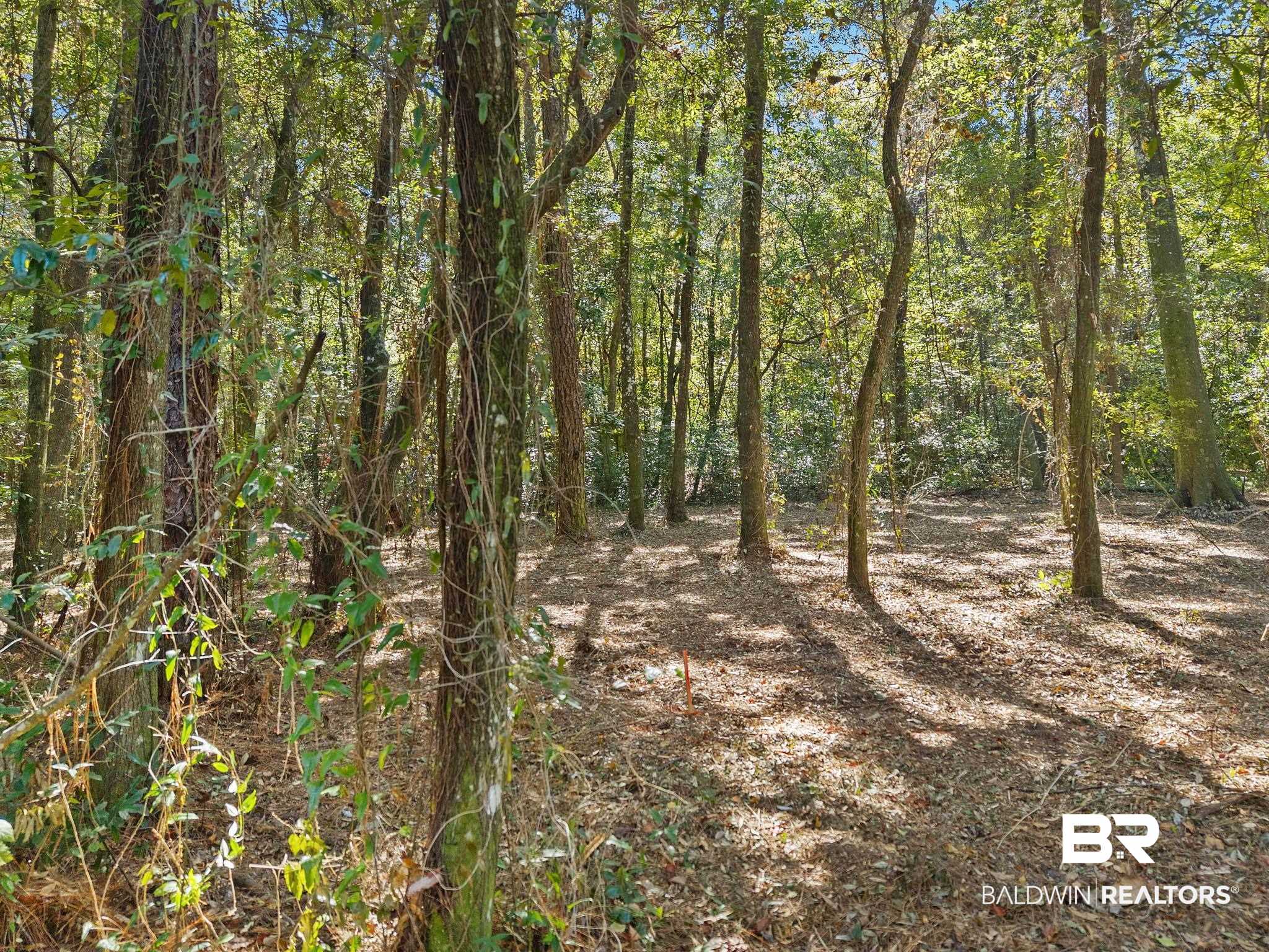 0 Wharf Street Daphne, AL 36526 - Photo 4 of 21
