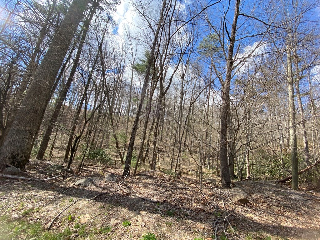 21 Alpine Drive Sevierville, TN 37876 - Photo 2 of 4