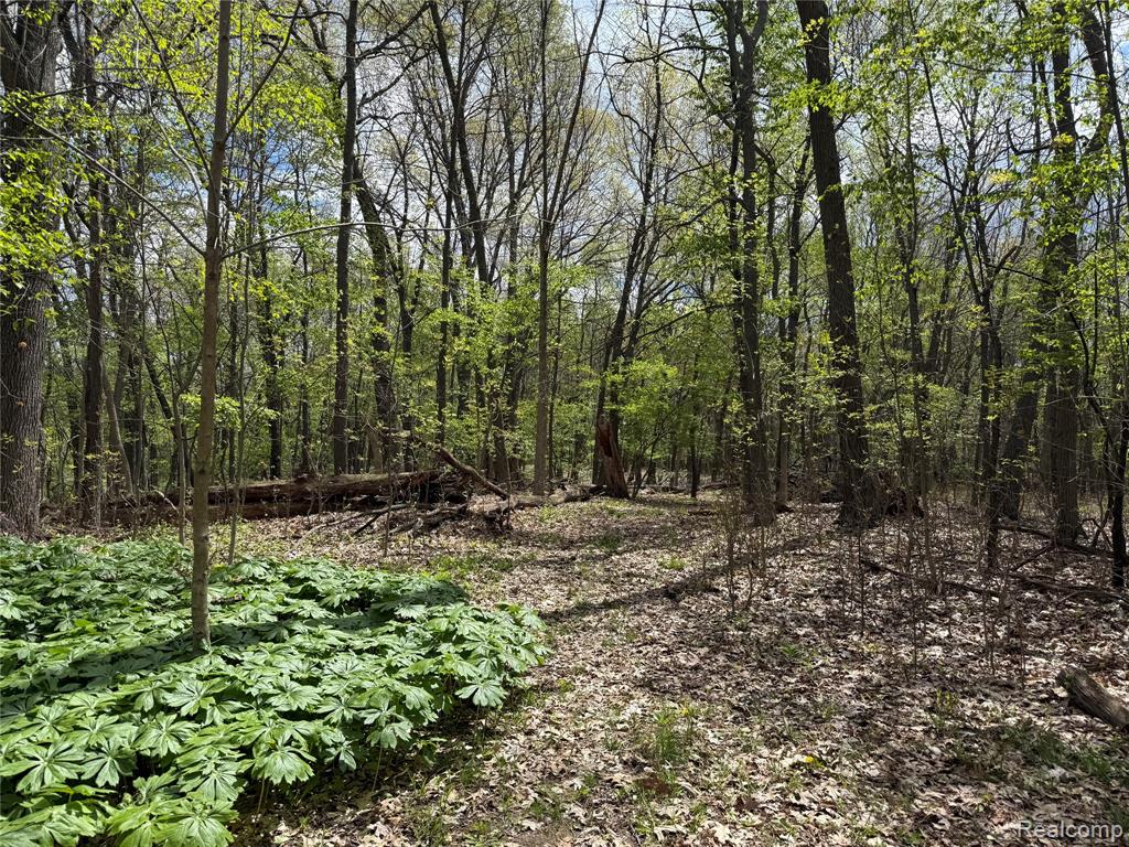 Lot 25 Hidden Ridge Trail Bloomfield Hills, MI 48304 - Photo 5 of 7