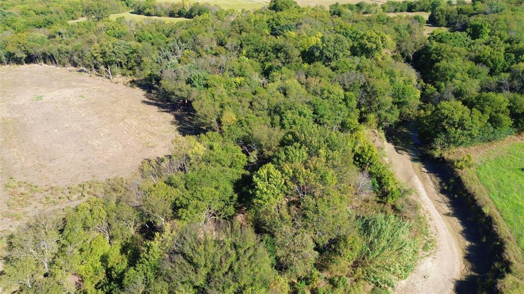 0 Bee Creek Road Maypearl, TX 76064 - Photo 26 of 39 a view of a garden with a pathway
