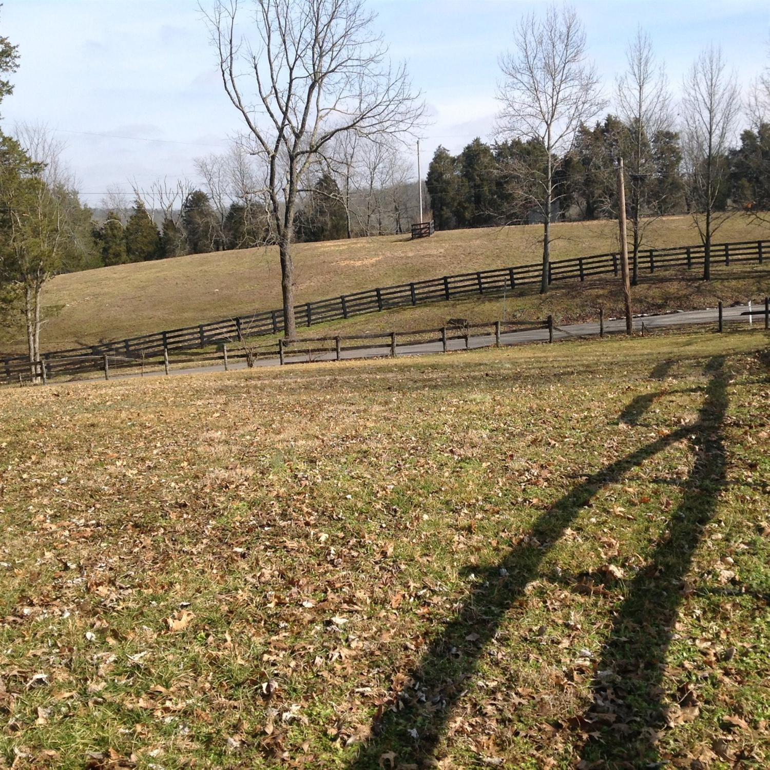 2435 Hifner Road Versailles, KY 40383 - Photo 39 of 51 Photo 52