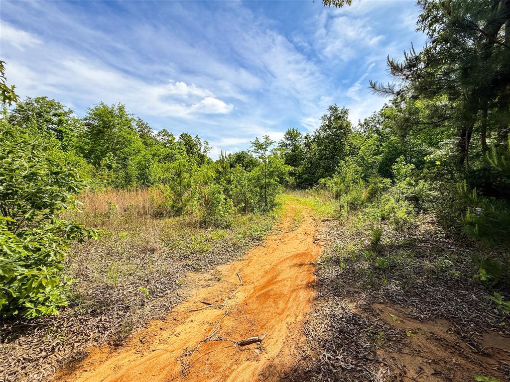 Tbd White Oak Road Big Sandy, TX 75755 - Photo 9 of 24