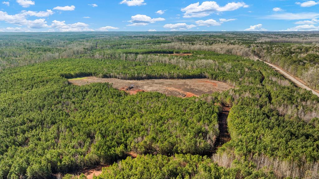 C2-200 Fortune Hole Road East Hamilton, GA 31811 - Photo 1 of 15 Main View
