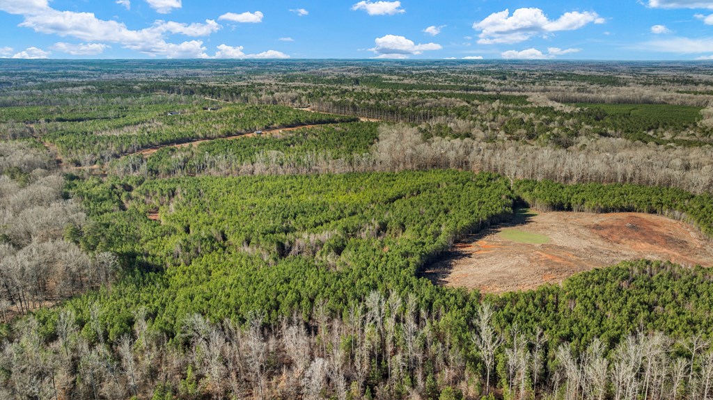 C2-200 Fortune Hole Road East Hamilton, GA 31811 - Photo 14 of 15