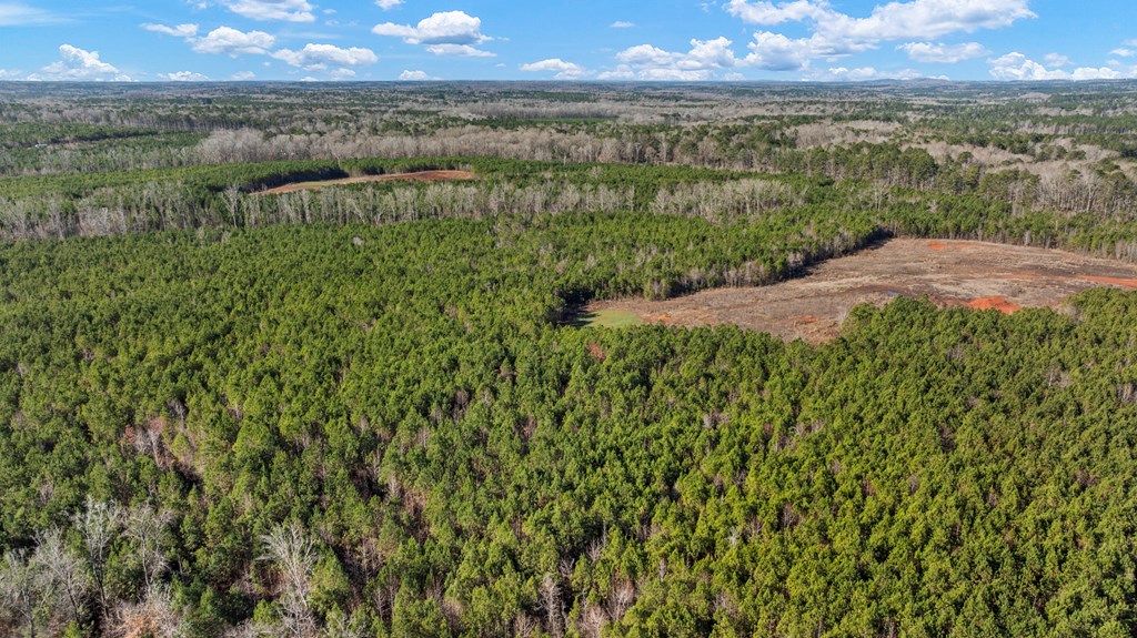 C2-200 Fortune Hole Road East Hamilton, GA 31811 - Photo 7 of 15