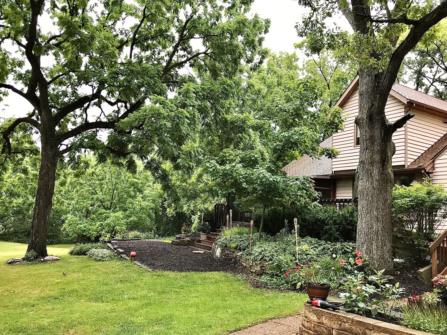 14203 South King Road Homer Glen, IL 60491 - Photo 15 of 18