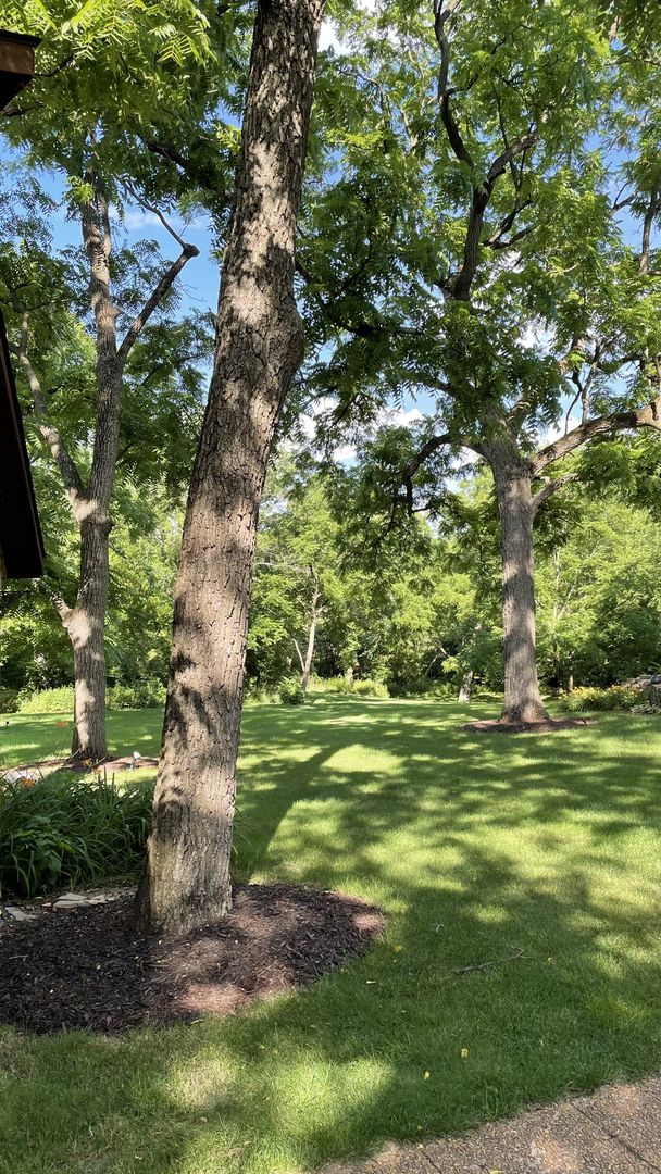 14203 South King Road Homer Glen, IL 60491 - Photo 16 of 18
