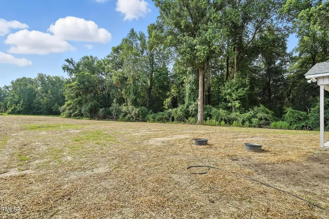 a view of a field with trees in the background