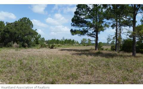 2361 Old State Rte 8 Venus, FL 33960 - Photo 4 of 7 Gallery Image 4