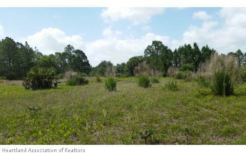 2361 Old State Rte 8 Venus, FL 33960 - Photo 6 of 7 Gallery Image 6