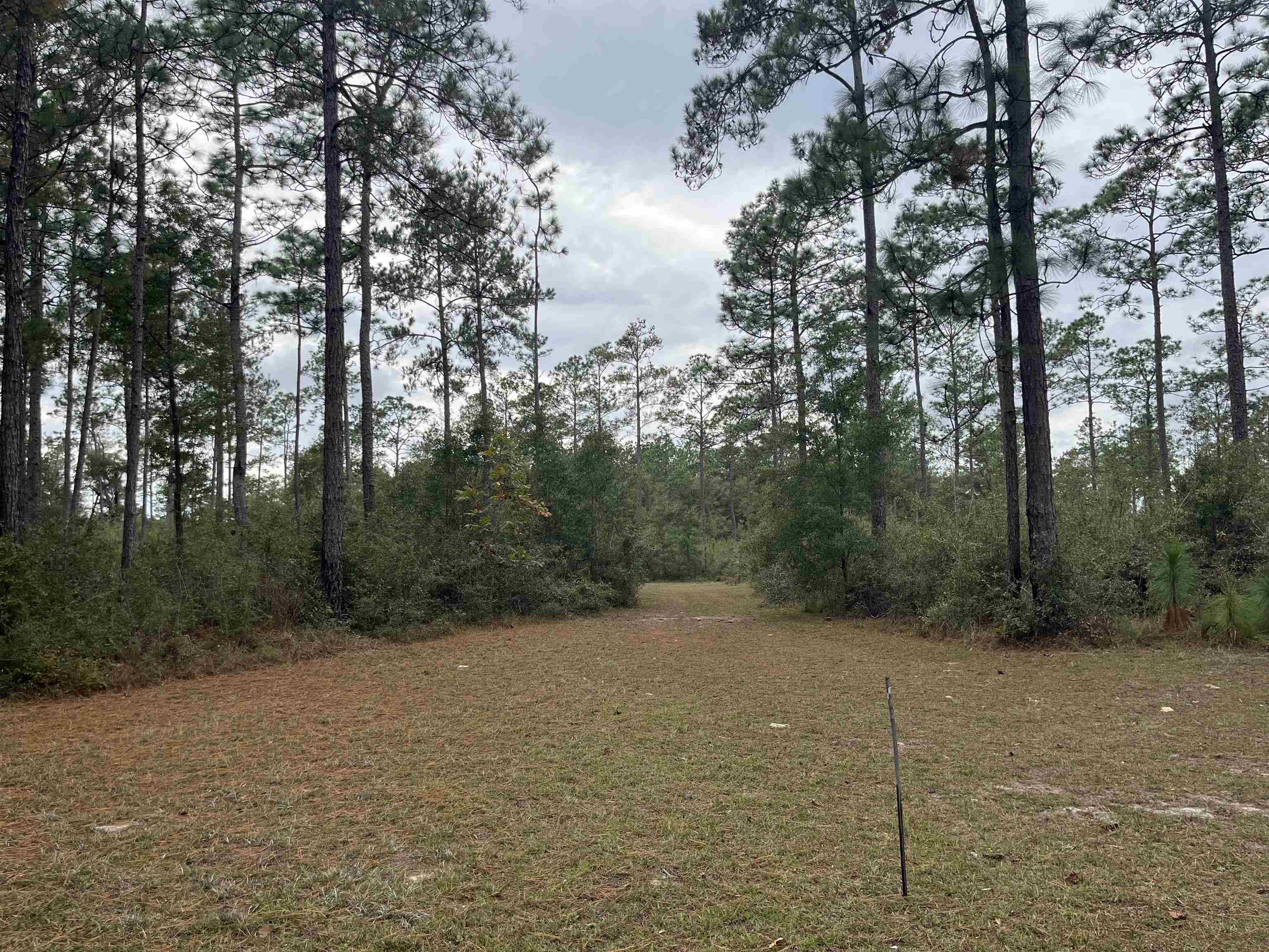 Xx Old Shell Point Road Crawfordville, FL 32327 - Photo 5 of 7