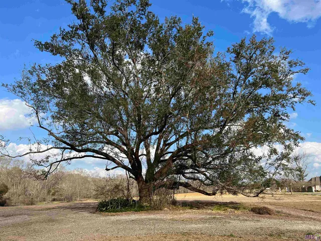 $259,900 | 38170 Oakland Drive, Prairieville, LA 70769