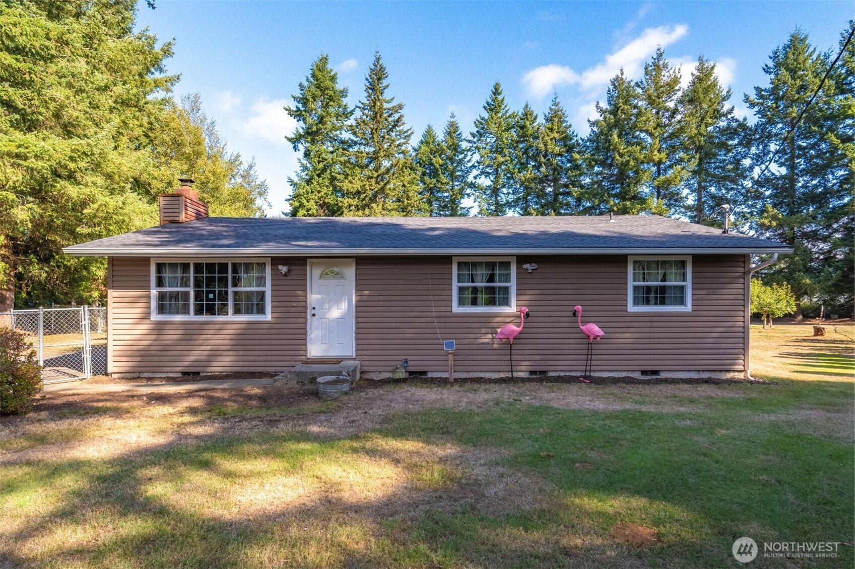 3648 Birch Terrace Court Custer, WA 98240 - Photo 2 of 28 a front view of house with yard and trees in the background