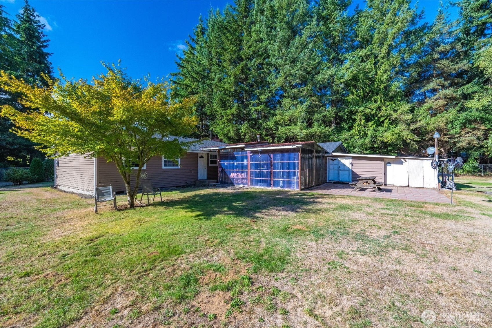 3648 Birch Terrace Court Custer, WA 98240 - Photo 27 of 28 a fire hydrant in the middle of a field