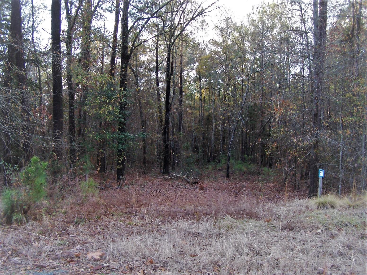 Tbd North State Lane Rockingham, NC 28379 - Photo 1 of 16 front