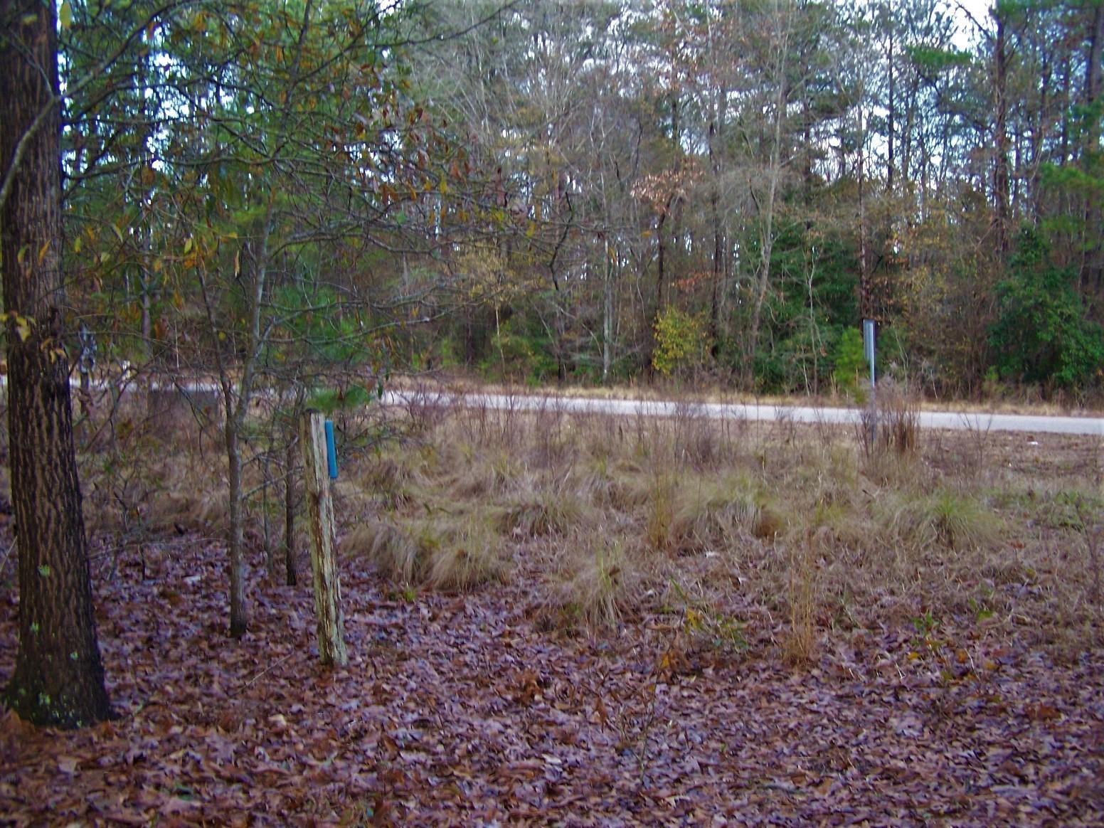 Tbd North State Lane Rockingham, NC 28379 - Photo 8 of 16 100_6472
