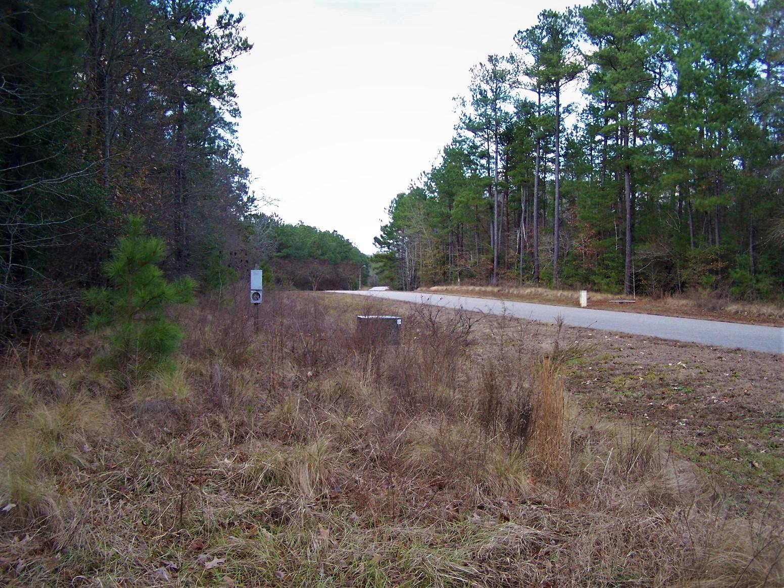 Tbd North State Lane Rockingham, NC 28379 - Photo 10 of 16 100_6474