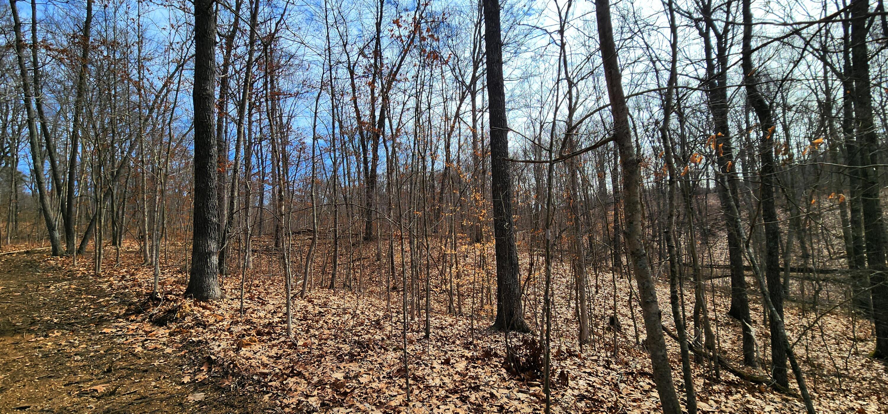 0 Edmundson Road, Unit TRACT 4 AT BIG TIMBER) Vinton, OH 45686 - Photo 29 of 67 20250307_114842