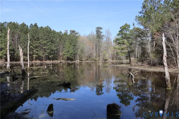 $200,000 | Tbd Martin Luther King Highway, Waverly, VA 23890