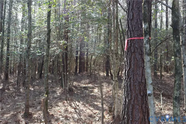 $200,000 | Tbd Martin Luther King Highway, Waverly, VA 23890