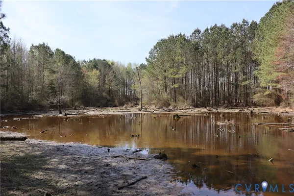 $200,000 | Tbd Martin Luther King Highway, Waverly, VA 23890