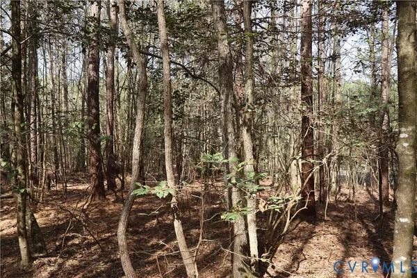 $200,000 | Tbd Martin Luther King Highway, Waverly, VA 23890