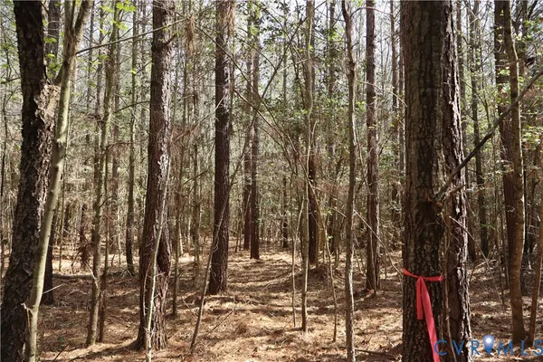 $200,000 | Tbd Martin Luther King Highway, Waverly, VA 23890