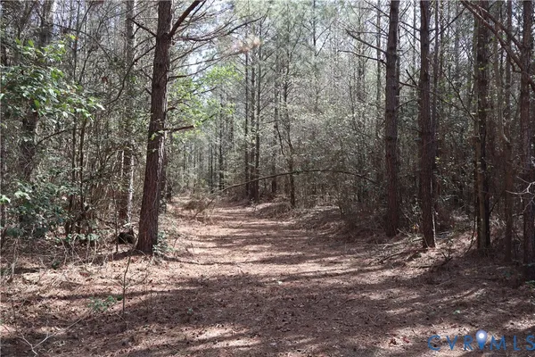 $200,000 | Tbd Martin Luther King Highway, Waverly, VA 23890