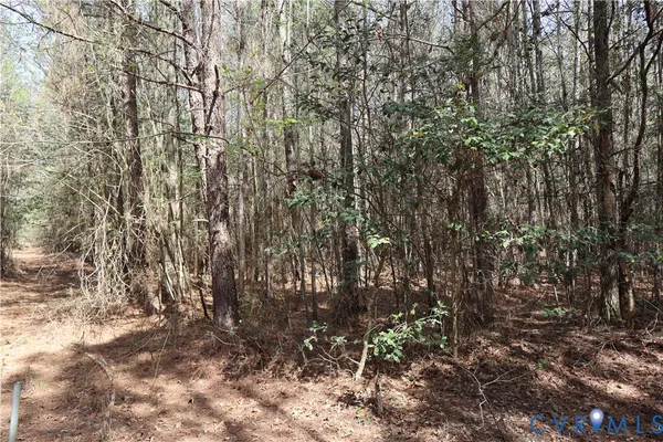 $200,000 | Tbd Martin Luther King Highway, Waverly, VA 23890