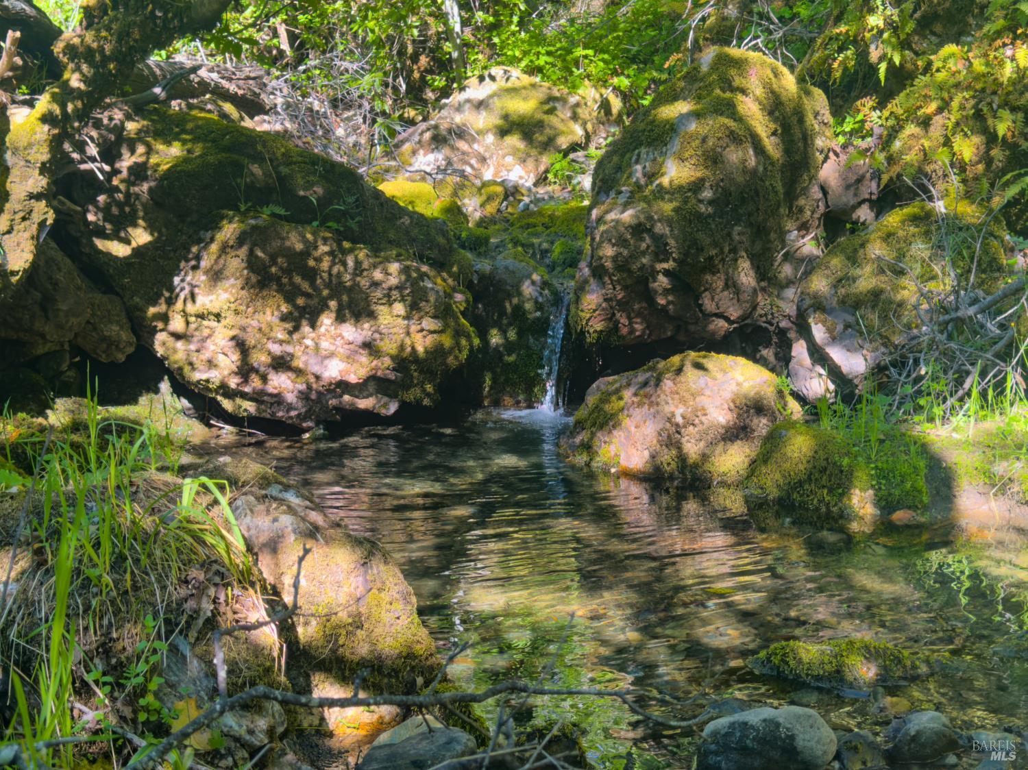 1510 Boonville Road Ukiah, CA 95482 - Photo 20 of 28