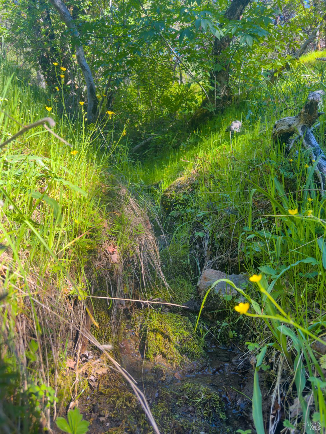 1510 Boonville Road Ukiah, CA 95482 - Photo 21 of 28