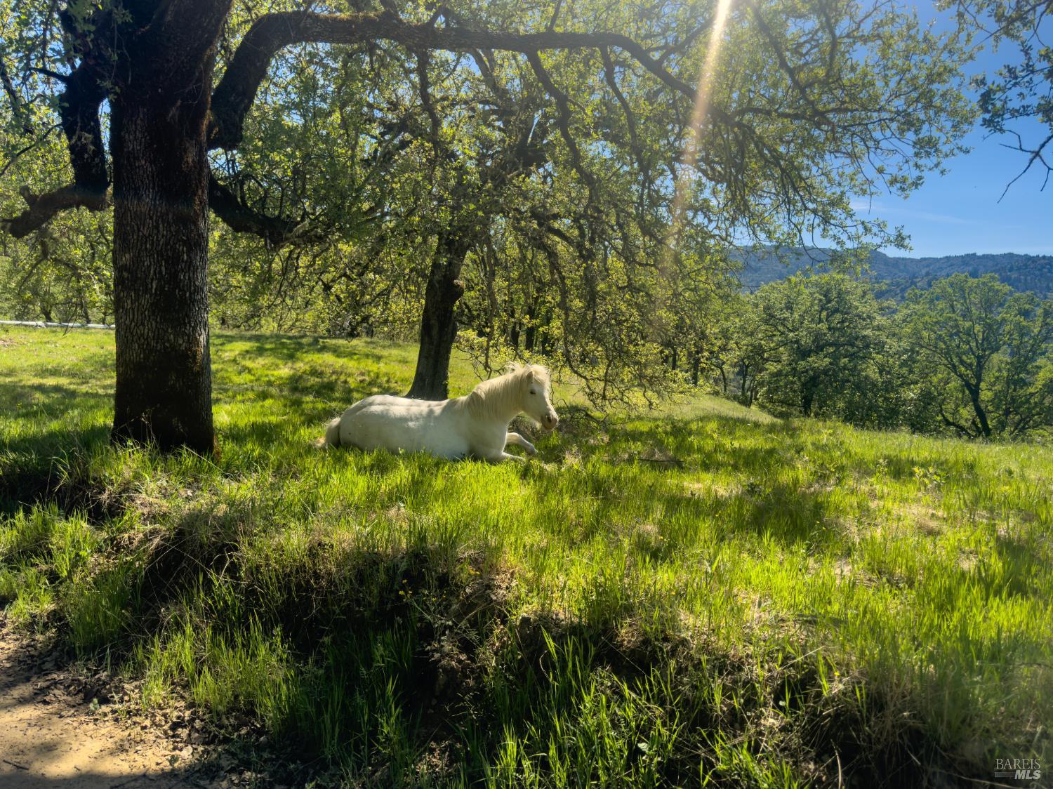 1510 Boonville Road Ukiah, CA 95482 - Photo 22 of 28