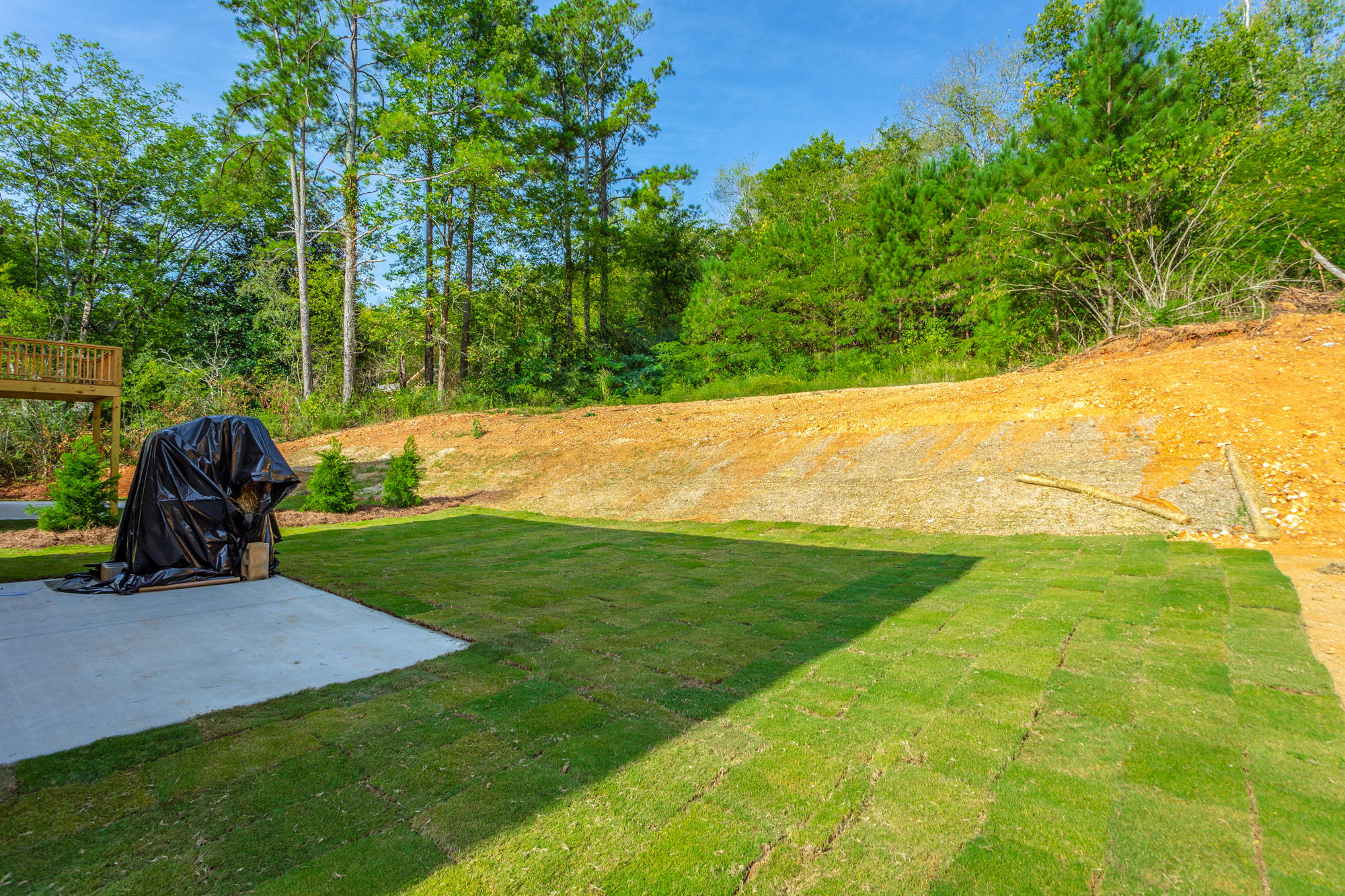 623 Lullwater Road Chattanooga, TN 37405 - Photo 32 of 38 Back Yard