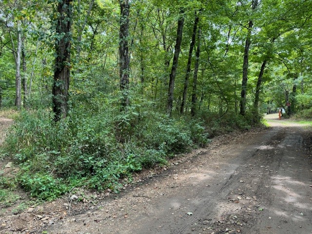 0 Fortyeight Creek Road Waynesboro, TN 38485 - Photo 8 of 10 a view of a forest with trees in the background